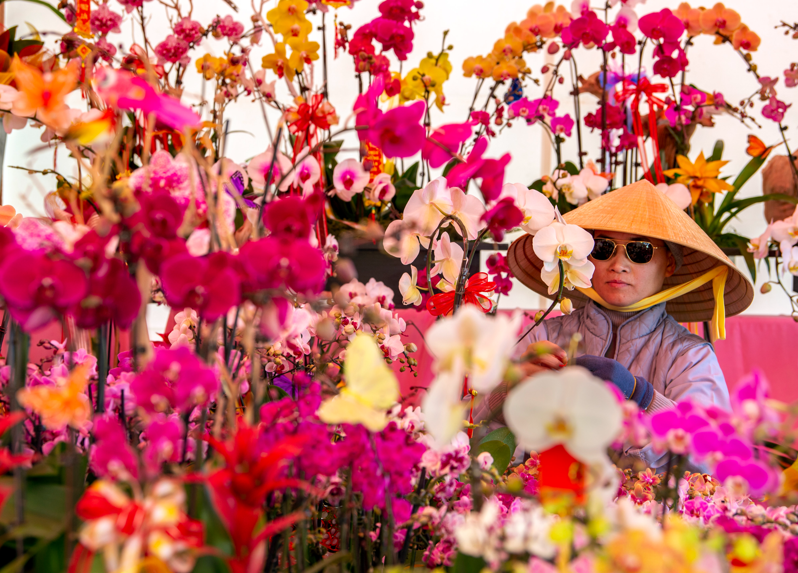 Uncover Breathtaking Secrets at the Ultimate HortEx Vietnam 2027