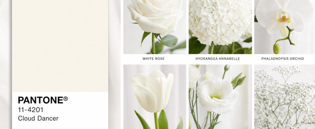 Flower Fashion: Cloud Dancer, Colour of the Year 2026