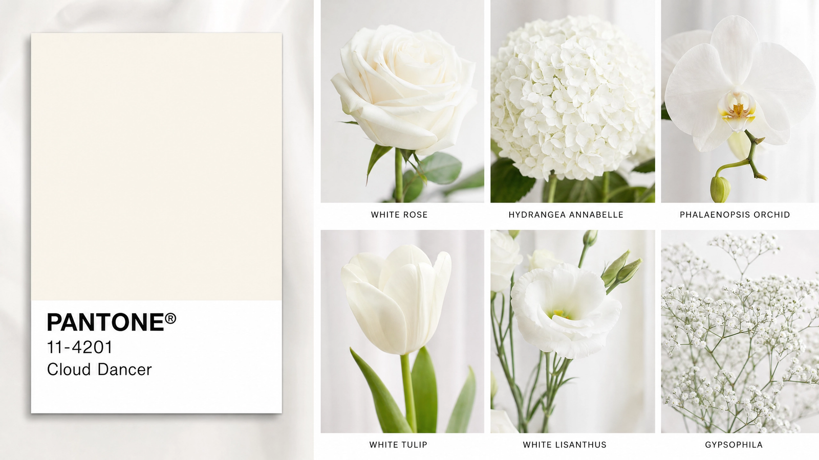 Flower Fashion: Cloud Dancer, Colour of the Year 2026