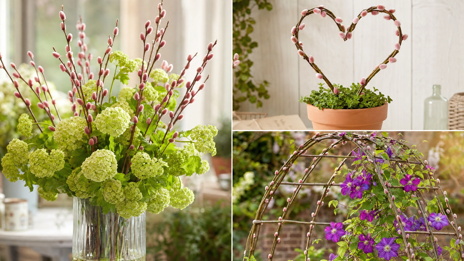 Flower Fashion: Salix with Pink-Red Catkins